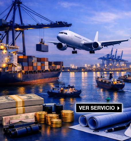 Proyectos integrales Marítimos y Portuarios