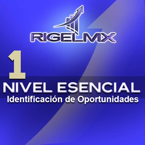 1. Nivel Esencial: Identificación de Oportunidades