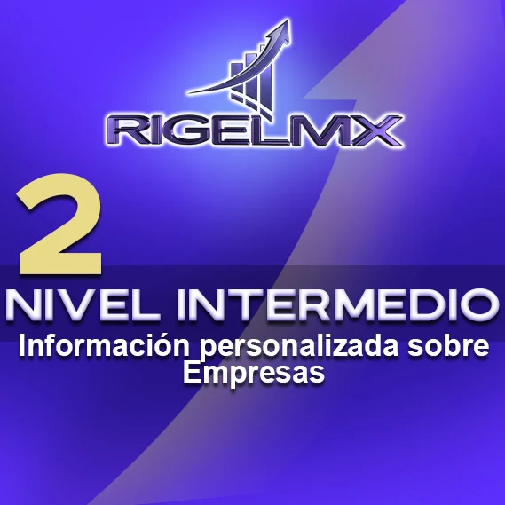 2. Nivel Intermedio: Información Personalizada sobre Empresas
